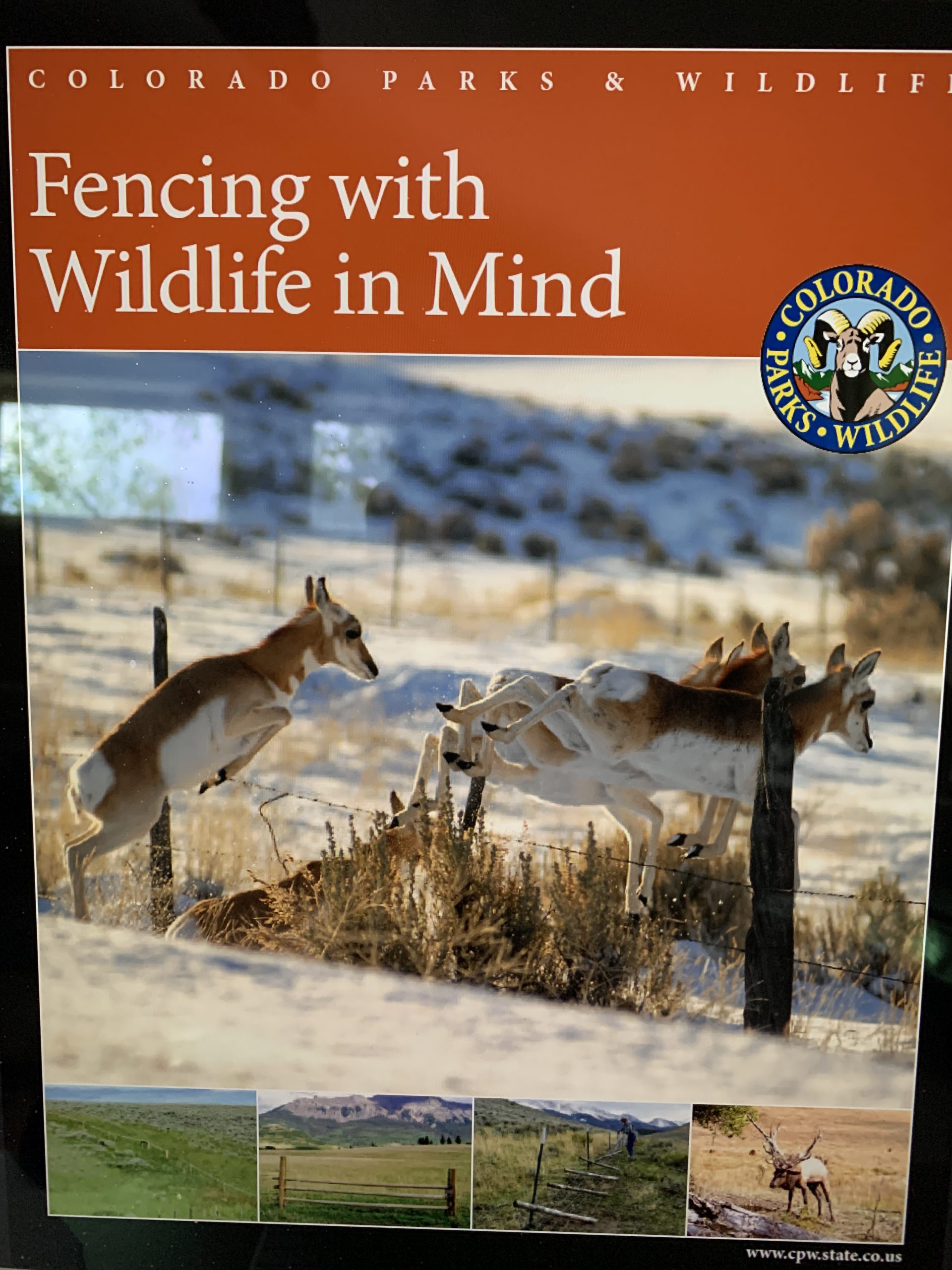 Colorado Parks And Wildlife's "Fences And Wildlife" | Colorado Wildlife ...