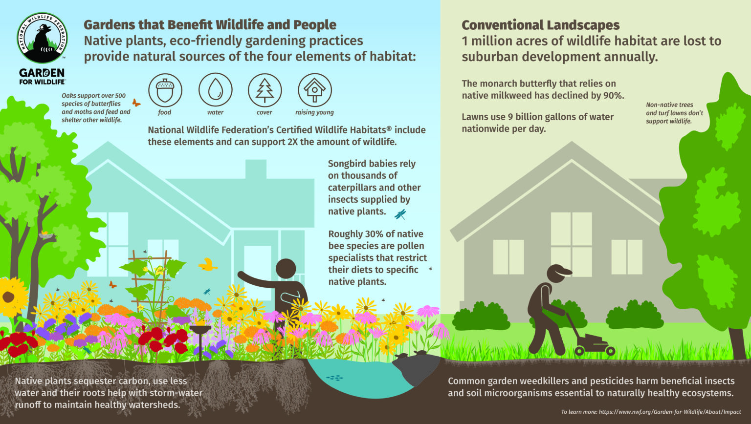 Garden Habitat Certification Colorado Wildlife Federation